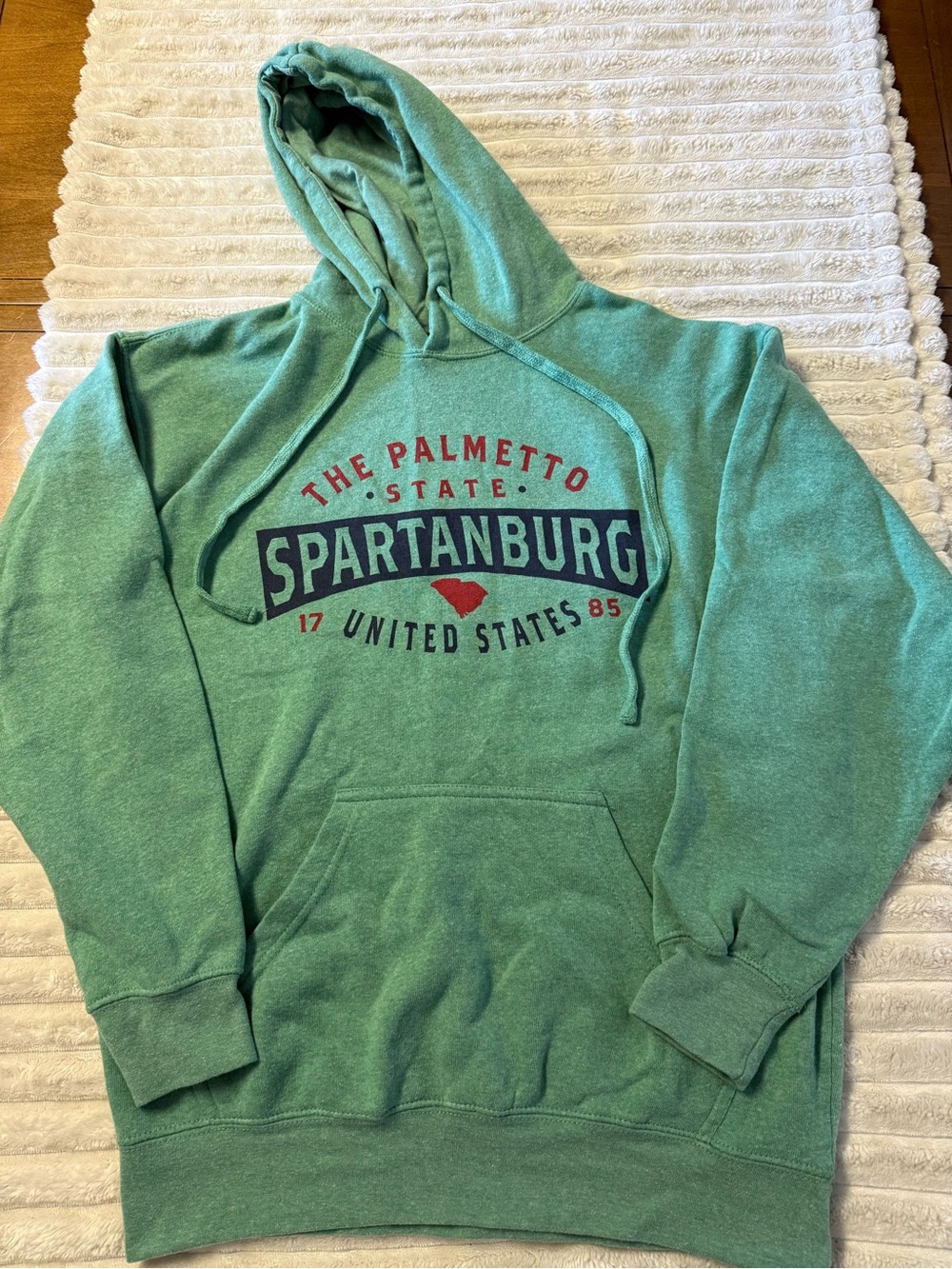 Pony Mint Green Spartanburg Hooded Sweatshirt with Red & Navy Print
